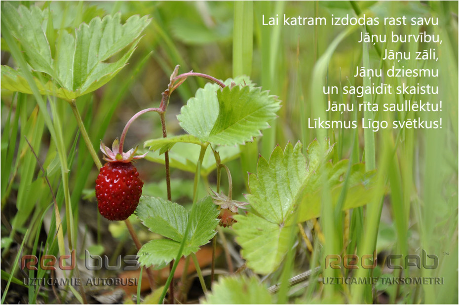 Līgo_2015